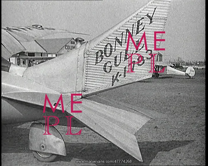: The Tail of the Bonney Gull Airplane : The Tail of the Bonney Gull Airplane