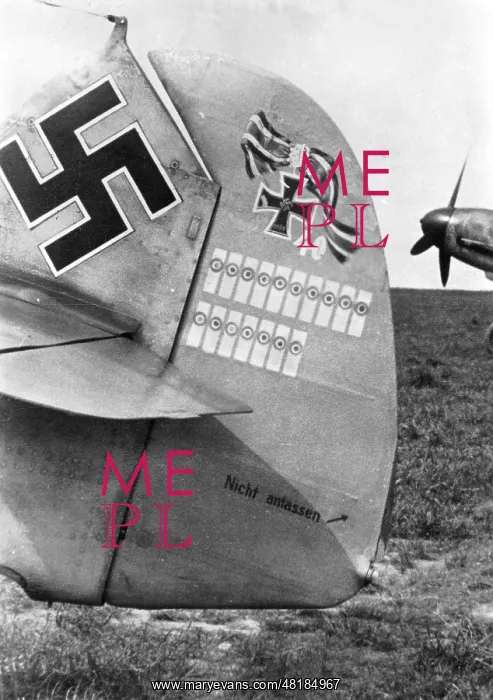 : Tail of a German fighter plane, 1942 : Tail of a German fighter plane, 1942