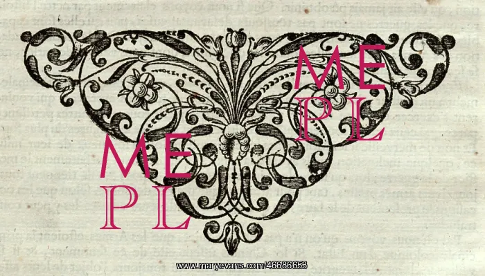 : Tail-piece of the French edition : Tail-piece of the French edition