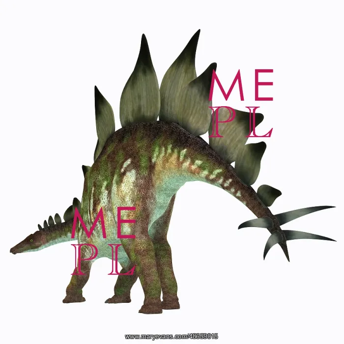 : Tail of a Stegosaurus dinosaur : Tail of a Stegosaurus dinosaur