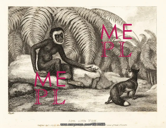 : A tailless monkey asks a fox for some of his tail : A tailless monkey asks a fox for some of his tail