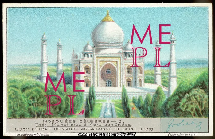 : TAJ MAHAL, AGRA : TAJ MAHAL, AGRA