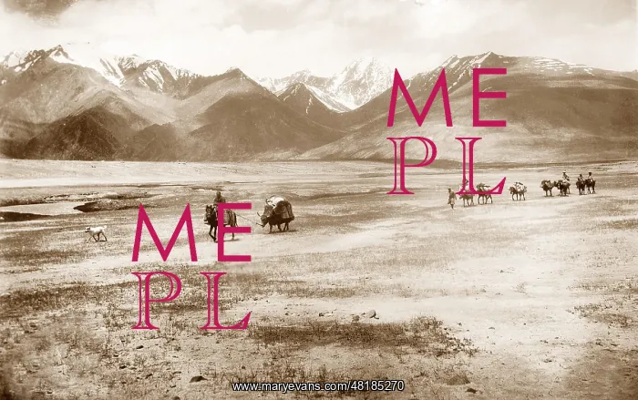 : Tajik caravan in Pamir : Tajik caravan in Pamir