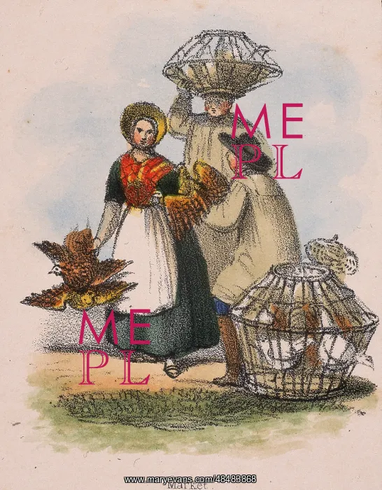 : Taking poultry to market in wicker baskets. From : Taking poultry to market in wicker baskets. From