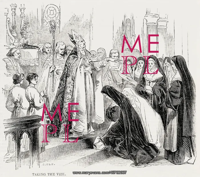 : Taking the veil : Taking the veil