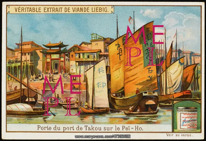  : TAKU (LIEBIG)