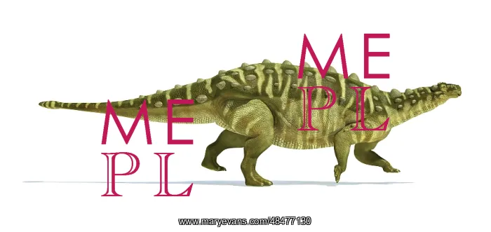 : Talarurus dinosaur on white background : Talarurus dinosaur on white background