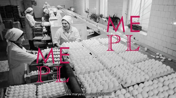 : Talashkino poultry farm : Talashkino poultry farm
