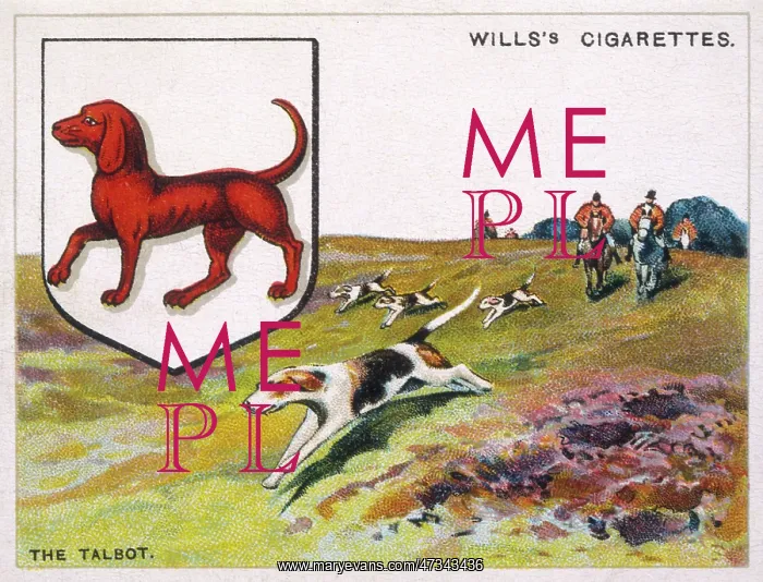  : TALBOT HERALDIC DOG