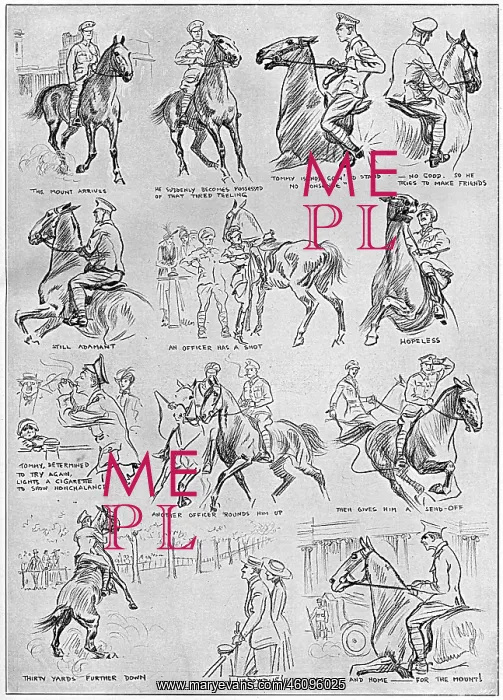 : The Tale of the Stubborn Mount by J. H. Dowd : The Tale of the Stubborn Mount by J. H. Dowd