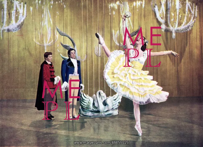 : THE TALES OF HOFFMANN : THE TALES OF HOFFMANN