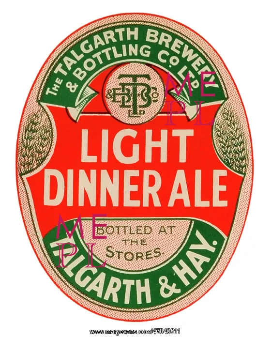  : Talgarth Brewery Light Dinner Ale