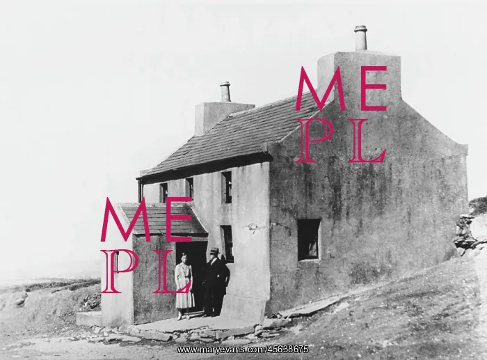 : TALKING MONGOOSE HOUSE : TALKING MONGOOSE HOUSE