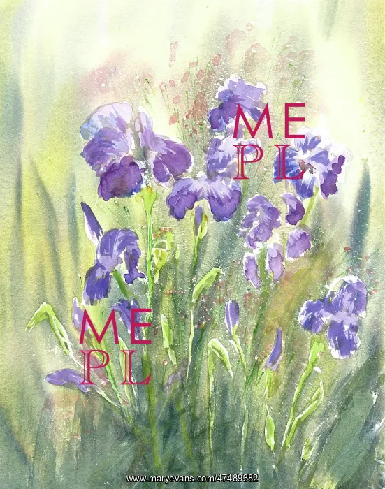  : Tall Blue Irises