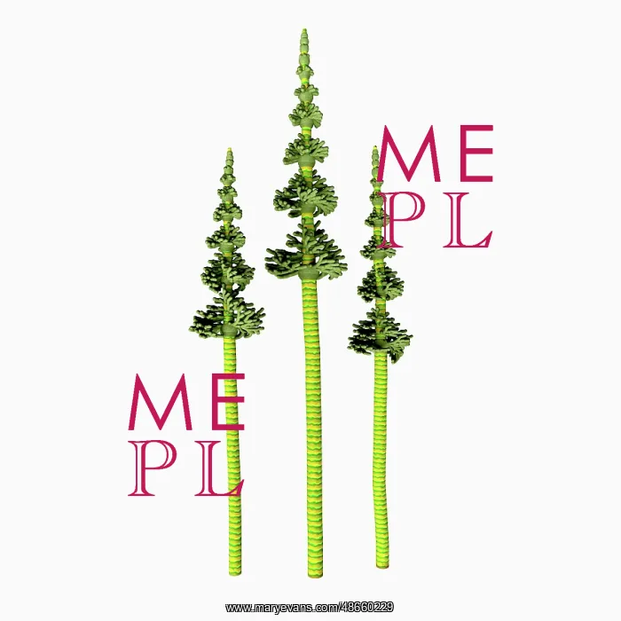 : Tall pine from the Carboniferous period : Tall pine from the Carboniferous period
