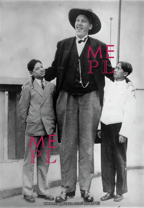 : Tallest man : Tallest man