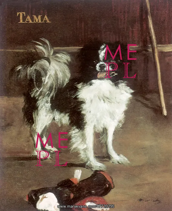  : Tama, the Japanese Dog, by Manet