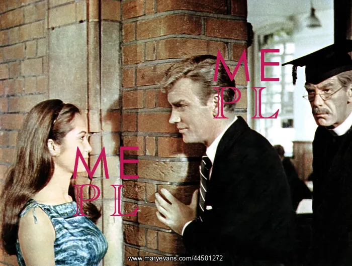 : Tamahine (1963) : Tamahine (1963)