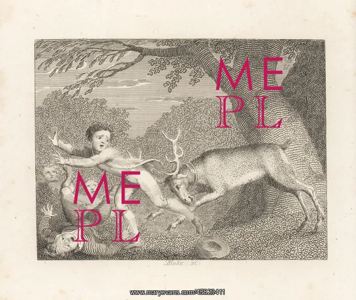 : The Tame Stag : The Tame Stag