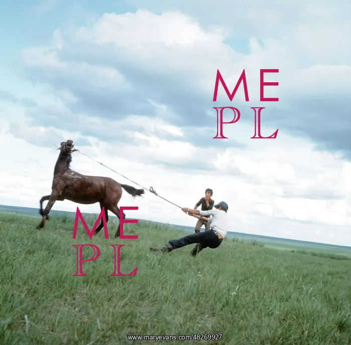 : Taming of horse, 1983 : Taming of horse, 1983
