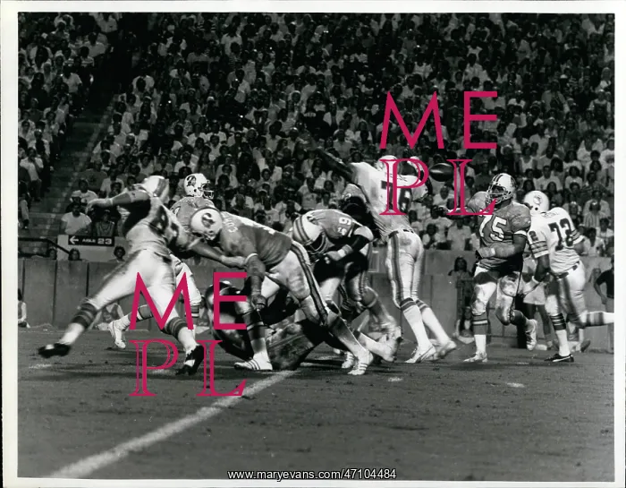: Tampa Bay Buccaneers : Tampa Bay Buccaneers