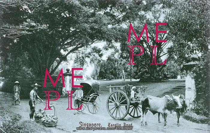 : Tanglin Road - Singapore : Tanglin Road - Singapore