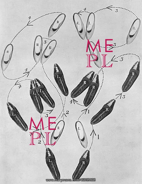 : Tango craze: a tango tangle, 1913 : Tango craze: a tango tangle, 1913