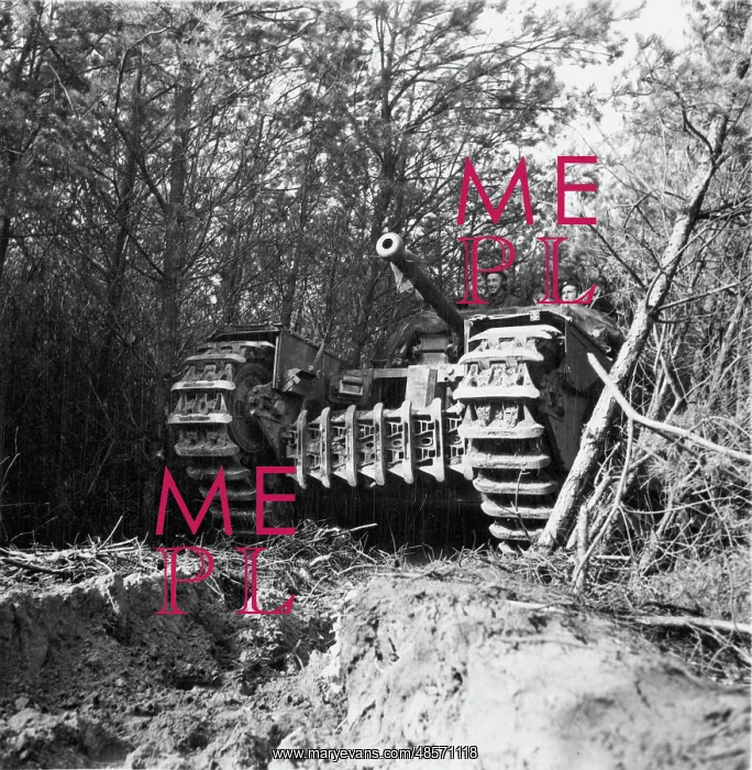 : Tank of 4th Battalion Coldstream Guards : Tank of 4th Battalion Coldstream Guards