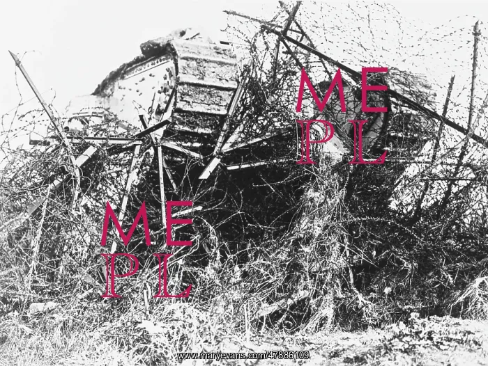 : Tank in barbed wire : Tank in barbed wire