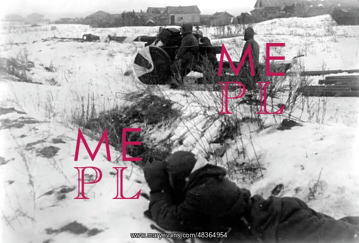 : Tank destroyer in position, 1942 : Tank destroyer in position, 1942
