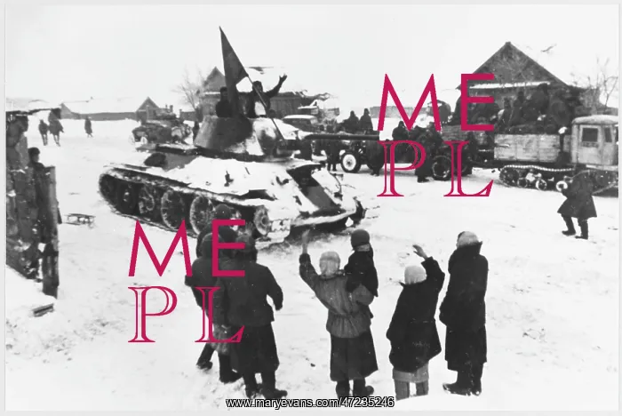 : TANK LIBERATES VILLAGE : TANK LIBERATES VILLAGE