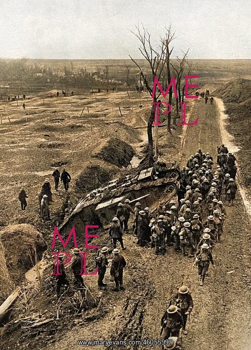 : Tank trapped in mud of Flanders, WW1 : Tank trapped in mud of Flanders, WW1