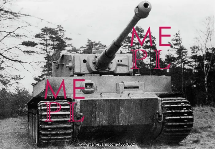 : Tank VI Tiger, 1943 : Tank VI Tiger, 1943