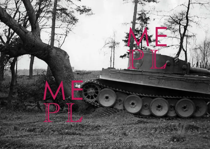 : Tank VI Tiger, 1943 : Tank VI Tiger, 1943