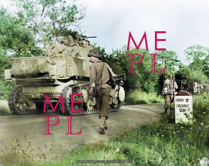 : Tanks of War : Tanks of War