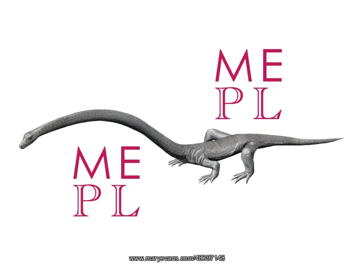 : Tanystropheus is an archosauromorph from the Middle ? : Tanystropheus is an archosauromorph from the Middle ?