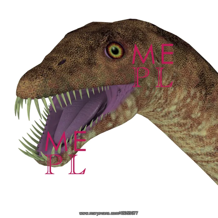 : Tanystropheus dinosaur head : Tanystropheus dinosaur head