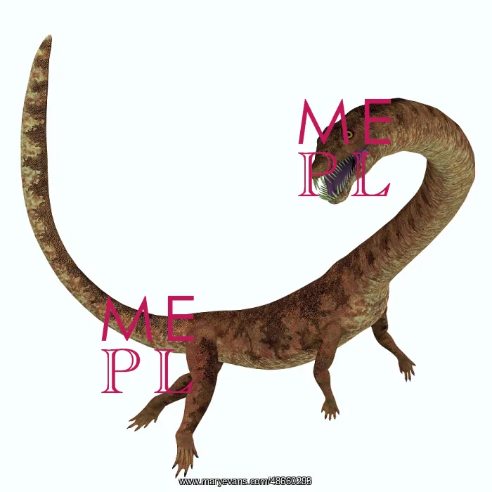 : Tanystropheus dinosaur, side profile : Tanystropheus dinosaur, side profile