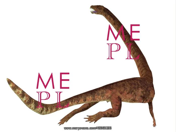 : Tanystropheus dinosaur, rear view of tail : Tanystropheus dinosaur, rear view of tail