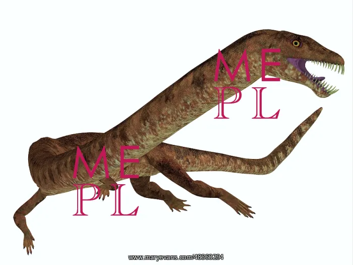 : Tanystropheus dinosaur on white background : Tanystropheus dinosaur on white background