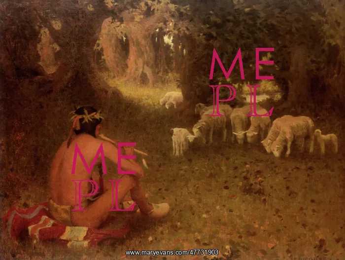  : Taos Indian Shepherd