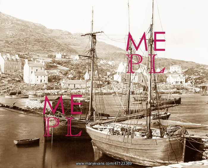  : Tarbert, Loch Fyne