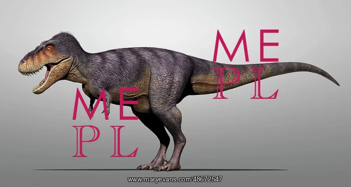 : Tarbosaurus dinosaur on grey background : Tarbosaurus dinosaur on grey background