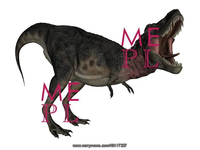 : Tarbosaurus dinosaur roaring, white background : Tarbosaurus dinosaur roaring, white background