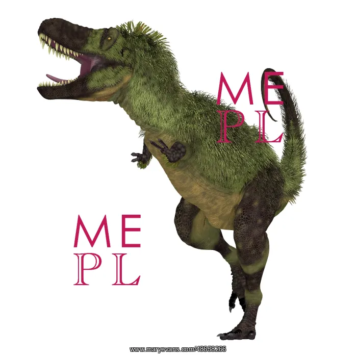  : Tarbosaurus dinosaur, front view on white background