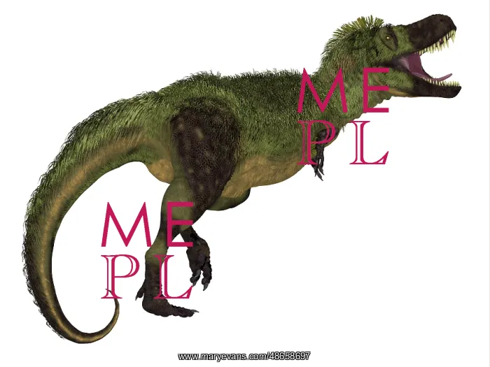 : Tarbosaurus dinosaur, side view on white background : Tarbosaurus dinosaur, side view on white background
