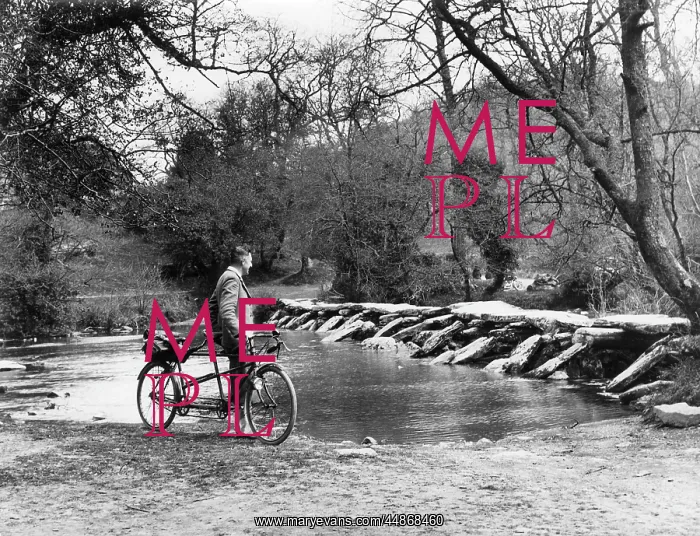 : TARR STEPS : TARR STEPS