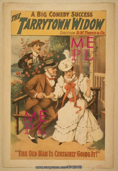 : The Tarrytown widow a big comedy success : The Tarrytown widow a big comedy success