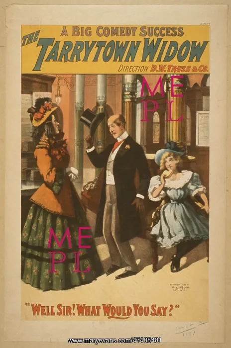 : The Tarrytown widow a big comedy success : The Tarrytown widow a big comedy success