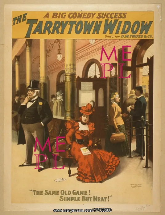 : The Tarrytown widow a big comedy success : The Tarrytown widow a big comedy success
